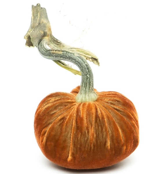 Hot Skwash Sandgreen Velvet Pumpkins