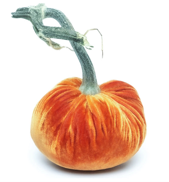 Hot Skwash Persimmon Velvet Pumpkins