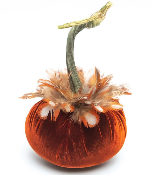 Hot Skwash Fire Velvet Pumpkin