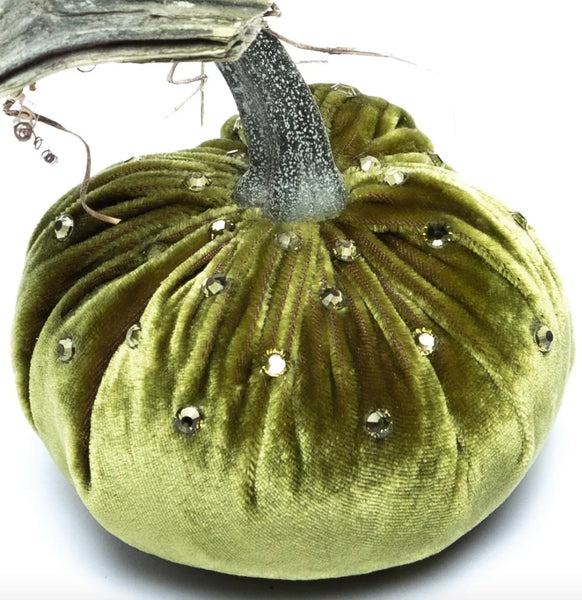 Hot Skwash Cactus Velvet Pumpkins