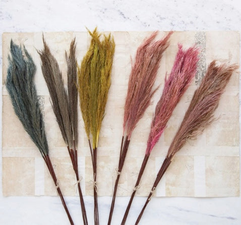 Dyed Dried Natural Pampas Grass - 29.5"