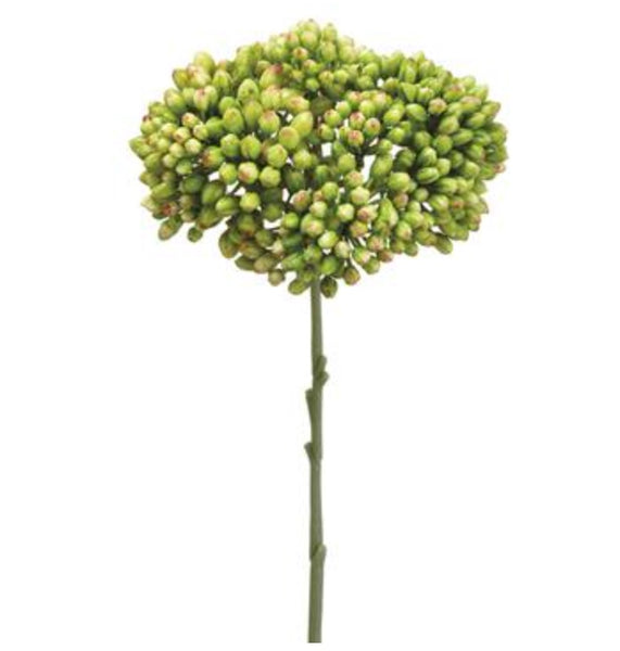 Green Sedum Spray - 12.5"
