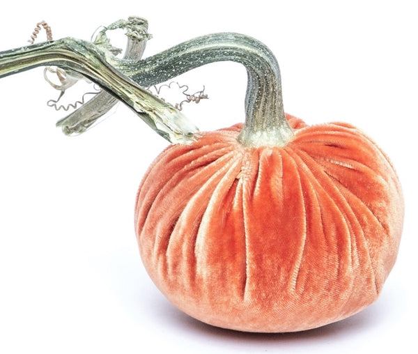 Hot Skwash Salmon Velvet Pumpkins