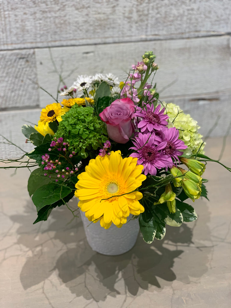 Bright Blooms