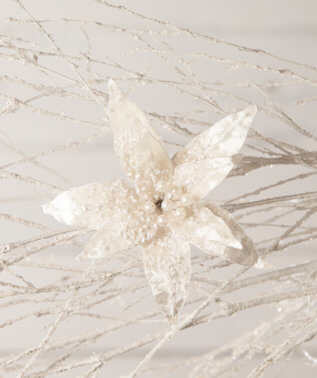 Ivory Velveteen Poinsettia Clips