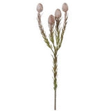 Leucadendron Spray - 22
