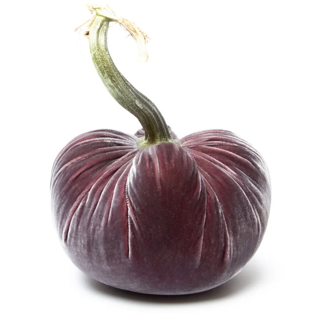 Hot Skwash Raspberry Ice Velvet Pumpkins