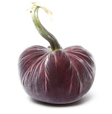 Hot Skwash Raspberry Ice Velvet Pumpkins