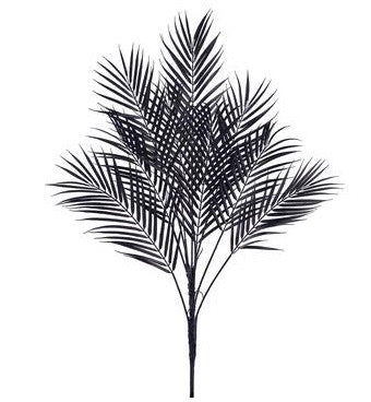 areca palm online Black Areca Palm Spray