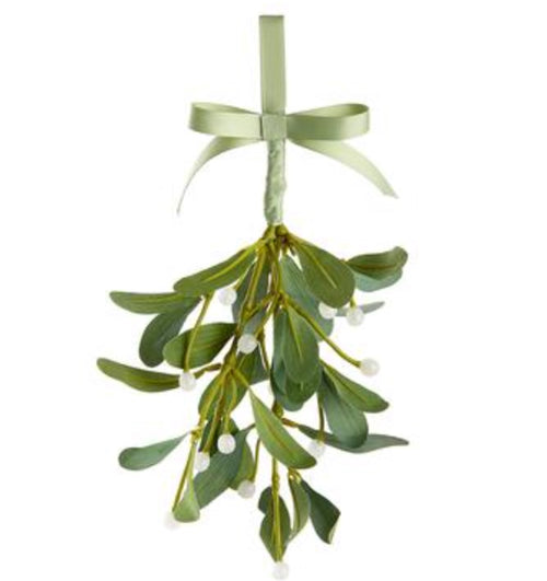 Iced Mistletoe Hanging Branch