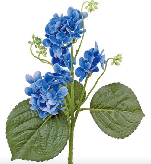 Blue Lacecap Hydrangea Stem - 15.75"