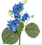 Blue Lacecap Hydrangea Stem - 15.75
