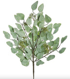 Seeding Eucalyptus Bush - 17