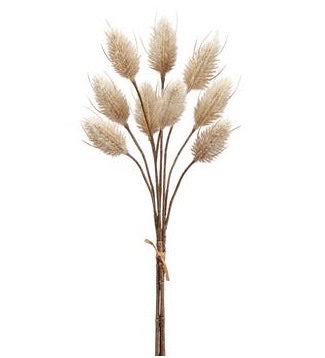 Tall Wild Grass Bush - 42"