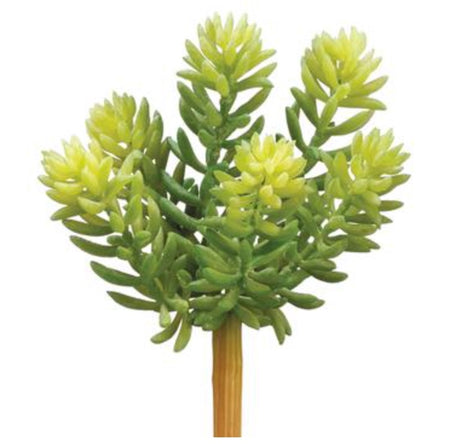 Coral Succulent Pick - 9"