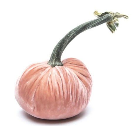 Hot Skwash Salmon Velvet Pumpkins
