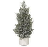 Frosted Pine Tree in Pot
