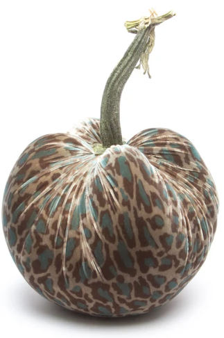 Hot Skwash Gold Velvet Pumpkins