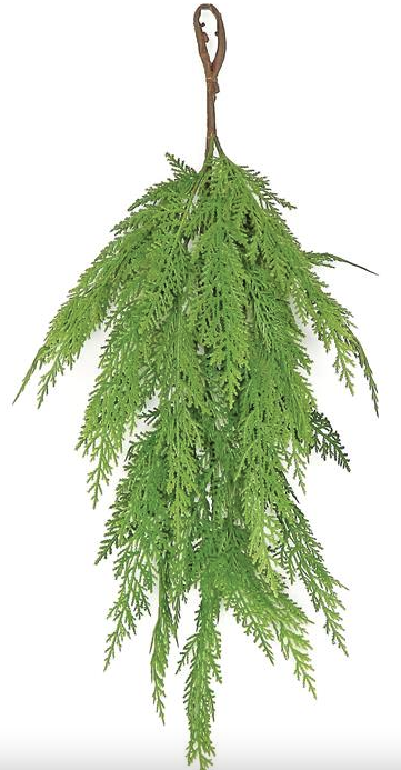Cedar & Juniper Spray