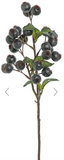 Plum Berry Spray - 18