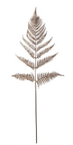 Fern Spray Rust 38.5