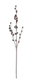 Brown Pussy Willow Stem - 33