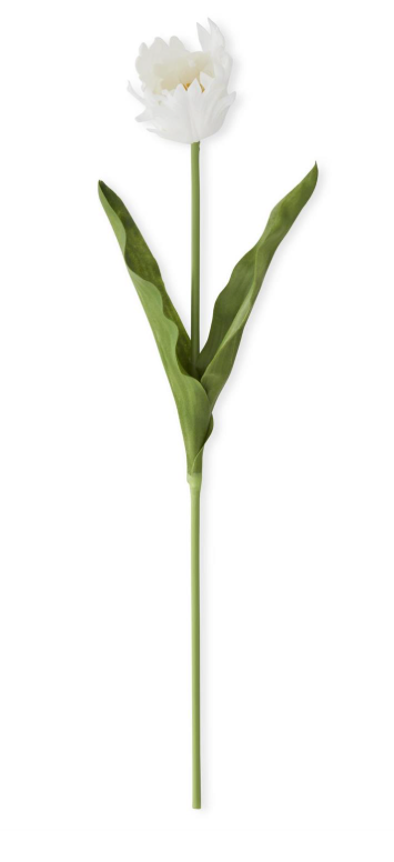White Parrot Tulip - 23"