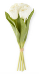 Tulip Bundle - White