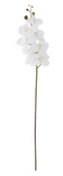 White Orchid Stem 34.5