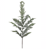 Cedar Spray - 40