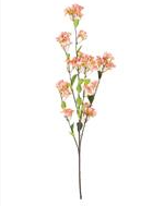 Cherry Blossom Branch