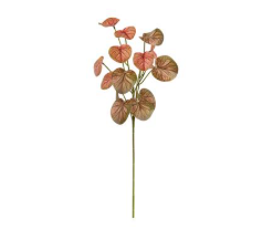 Red Peperomia Spray - 21.5"