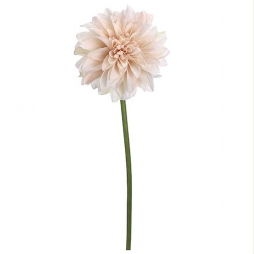 Soft Pink Dahlia Stem - 19"