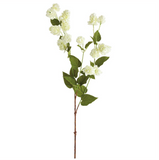 White Hops Spray - 39