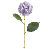 Lavender Hydrangea Stem - 23
