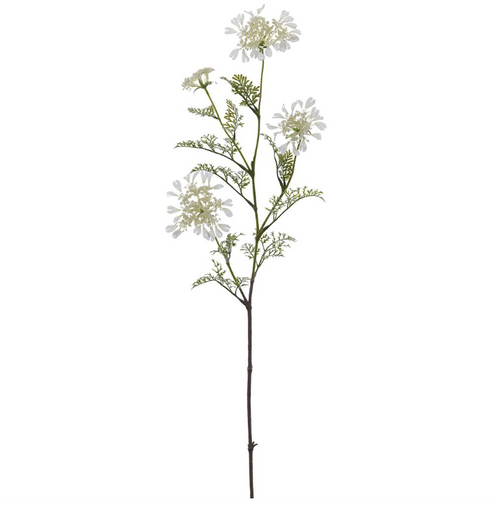 Orlaya Lace Flower Spray - 37.5"