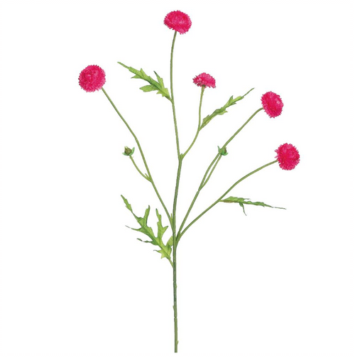 Wild Pom Pom Sprays - 23.5"