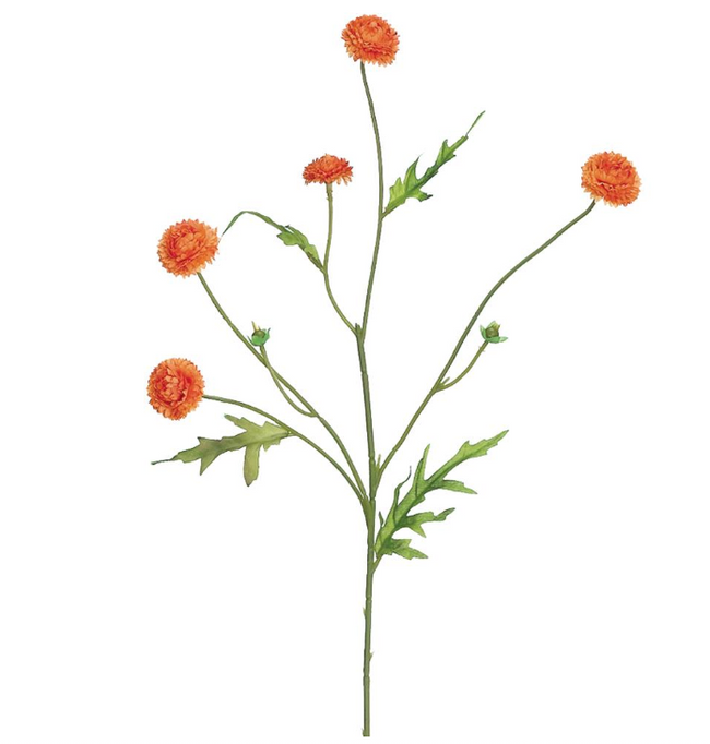 Wild Pom Pom Sprays - 23.5"