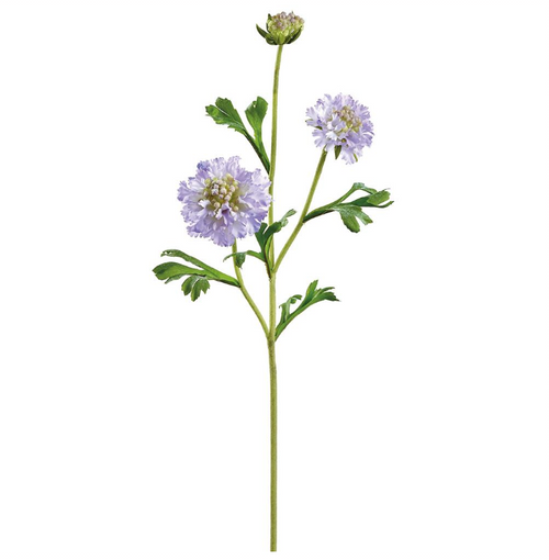 Lavender Scabiosa Spray - 21"
