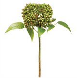 Burgundy & Green Sedum Stem - 17