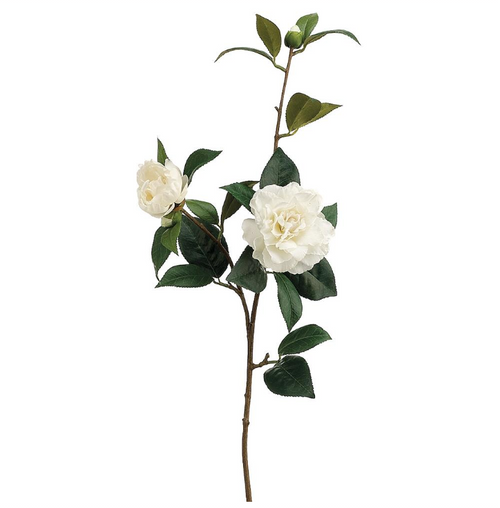 Cream Camellia Spray - 35"