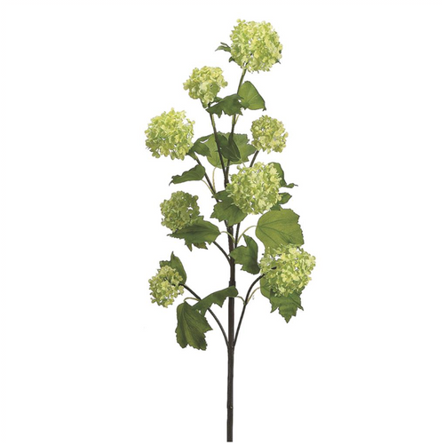 Green Viburnum Spray - 30"