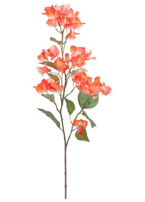 Coral Bougainvillea Spray - 34"