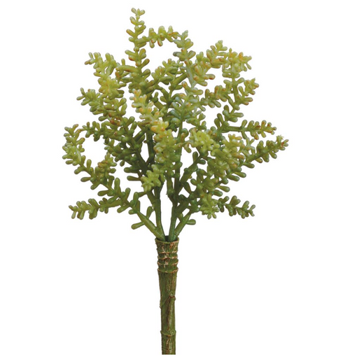 Light Green Sedum Pick - 9"