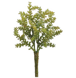 Light Green Sedum Pick - 9