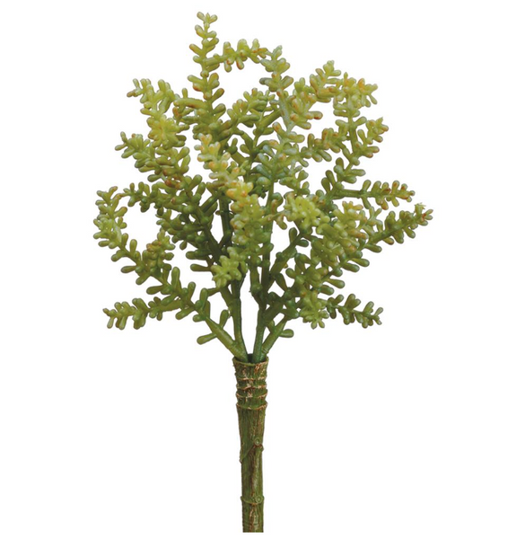 Light Green Sedum Pick - 9"