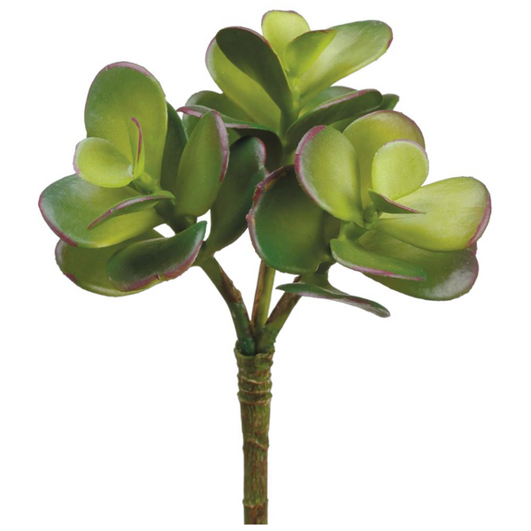 Jade Succulent Pick - 6.5"