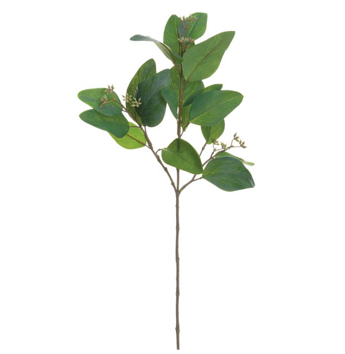 Eucalyptus Leaf Spray - 24.5"
