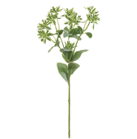 Hydrangea Stem - White