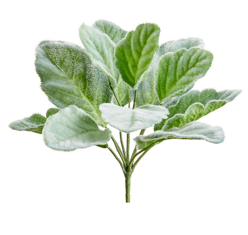Lamb's Ear Bush - 10"